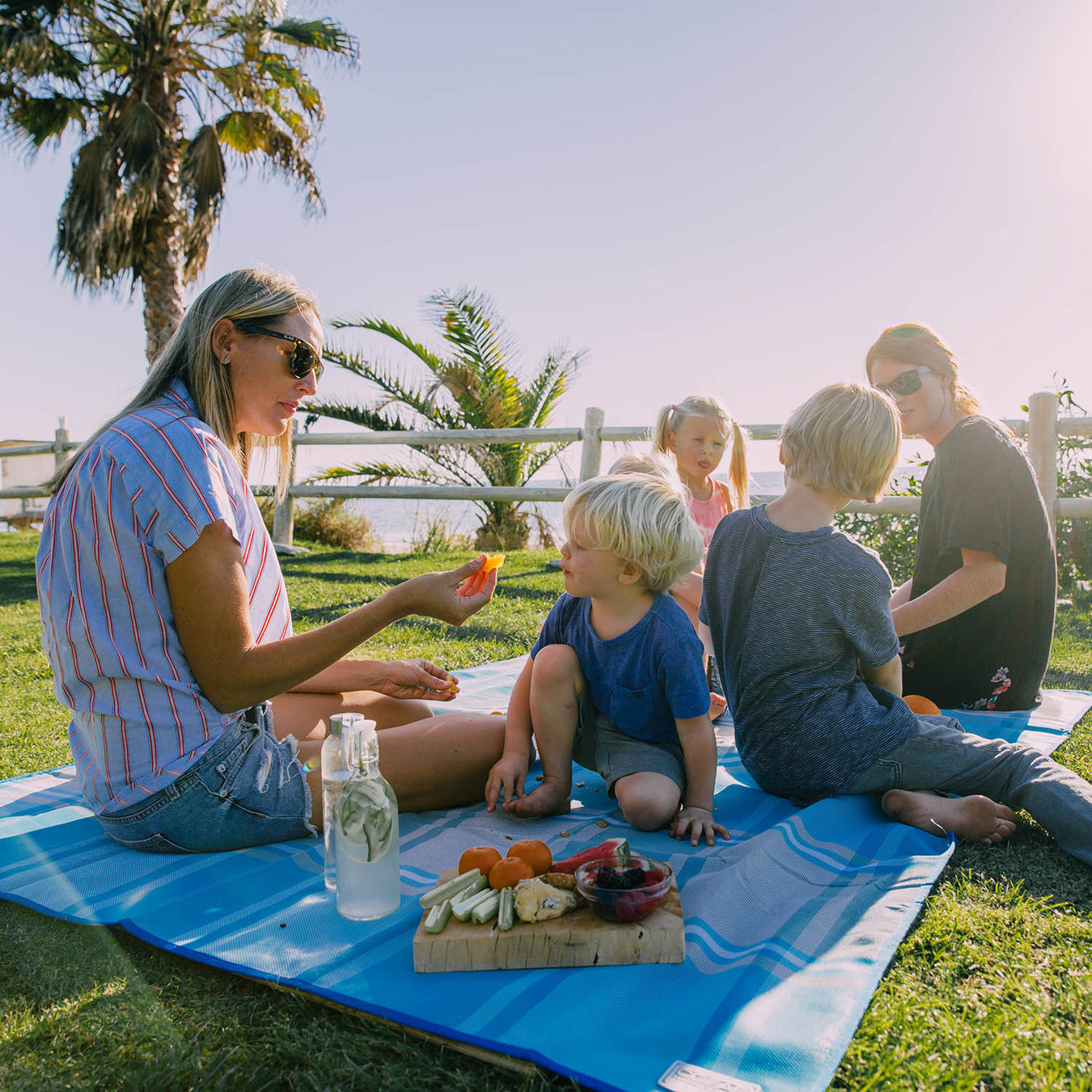 Picnic